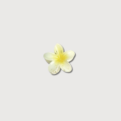 BLUSH & GLOW Jaune Pince à Cheveux MONOÏ